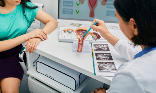 Female gynaecologist with patient